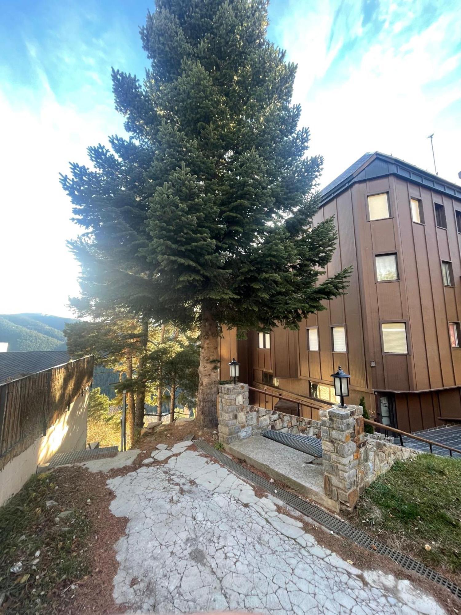 Apartamento Acogedor En La Molina, 2Hab, Wi Fi La Molina  Luaran gambar